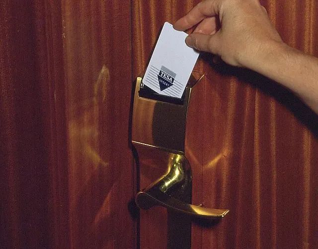 Athene (adults Only)