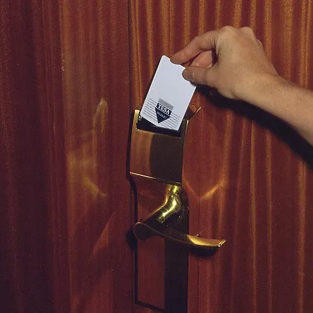 Athene (adults Only)